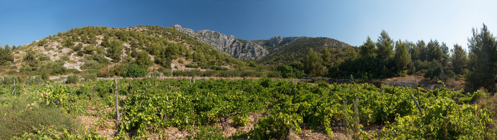ZAVALA2 PANORAMA